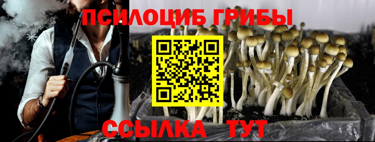 Галлюциногенные грибы прущие грибы Топки